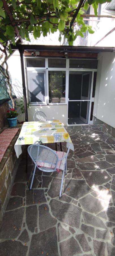 פיראן Apartma Marinka מראה חיצוני תמונה