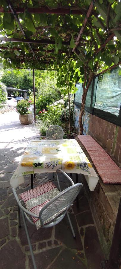 פיראן Apartma Marinka מראה חיצוני תמונה