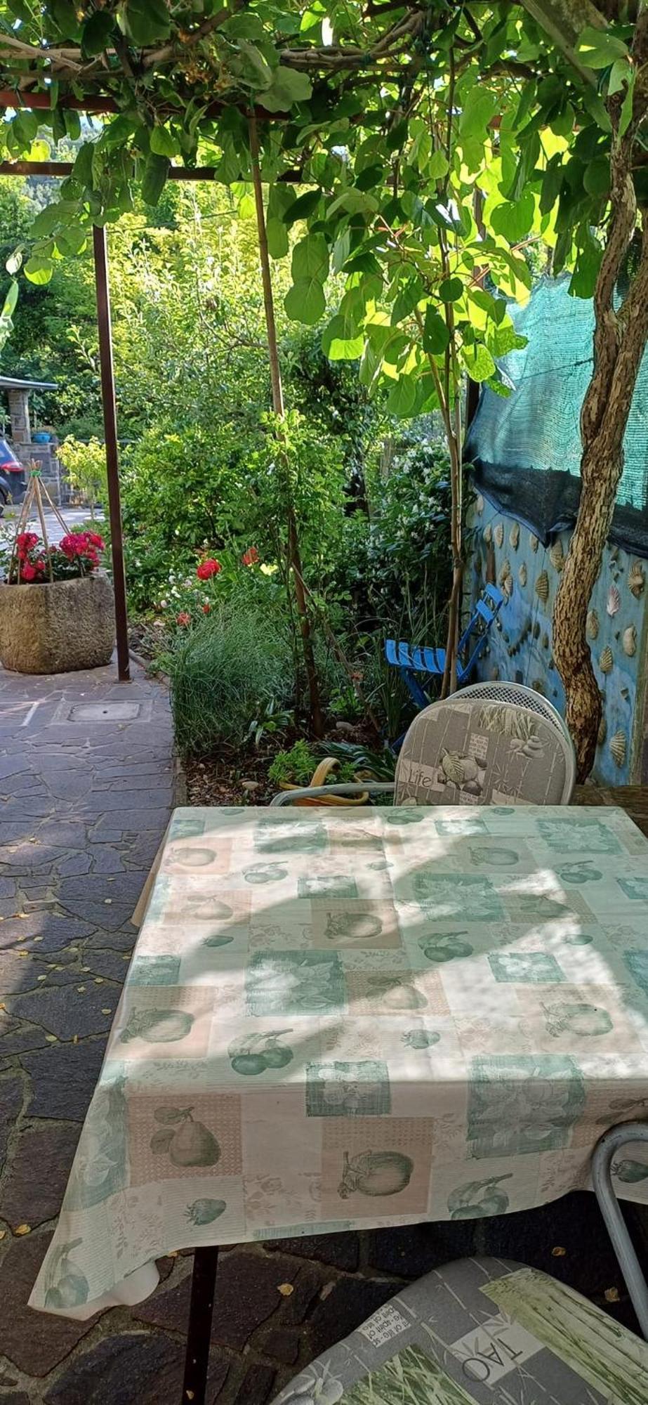 פיראן Apartma Marinka מראה חיצוני תמונה