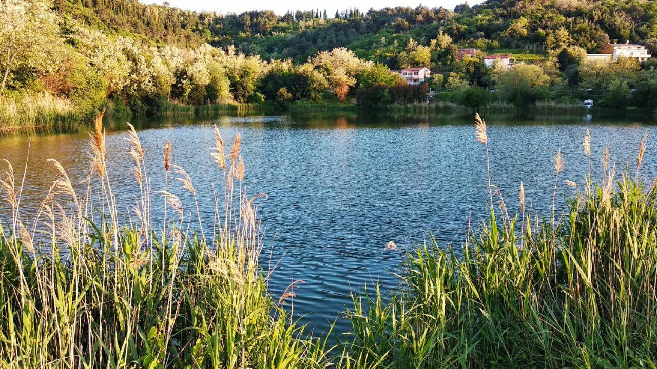 פיראן Apartma Marinka מראה חיצוני תמונה